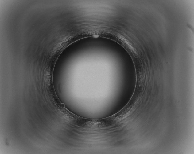 X0000091200497200708231533