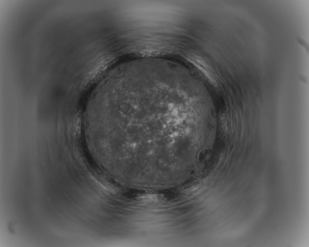 X0000091200499200708231533