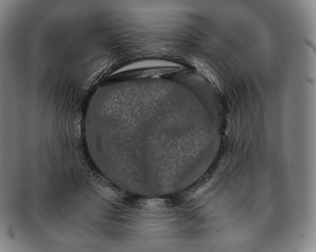 X0000091200501200708231533