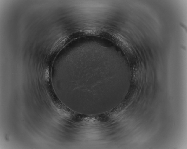 X0000091200502200708231533