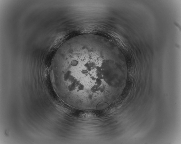 X0000091200503200708231533