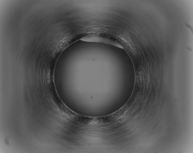 X0000091200504200708231533