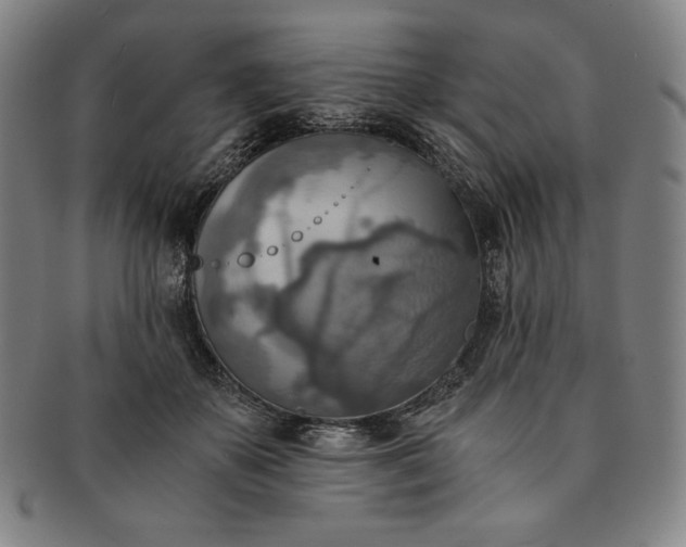 X0000091200507200708231533