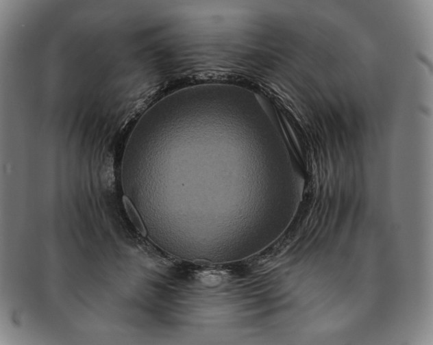 X0000091200508200708231533