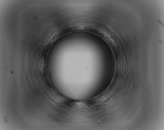 X0000091200509200708231533