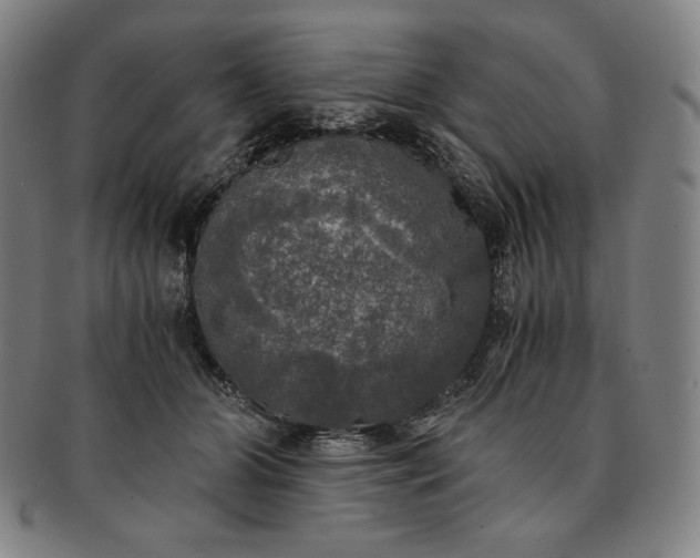 X0000091200510200708231533