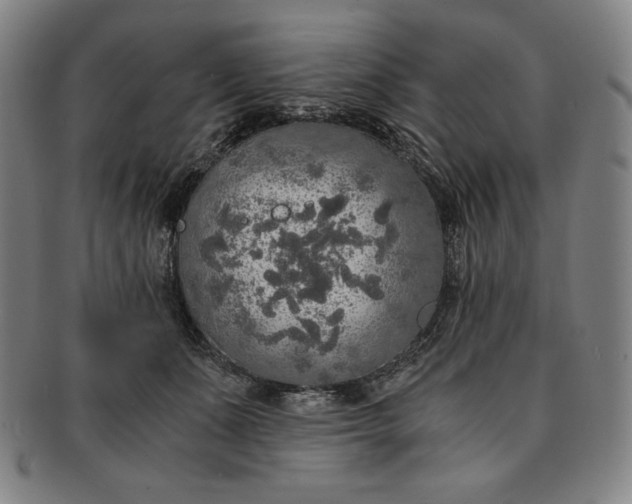 X0000091200511200708231533