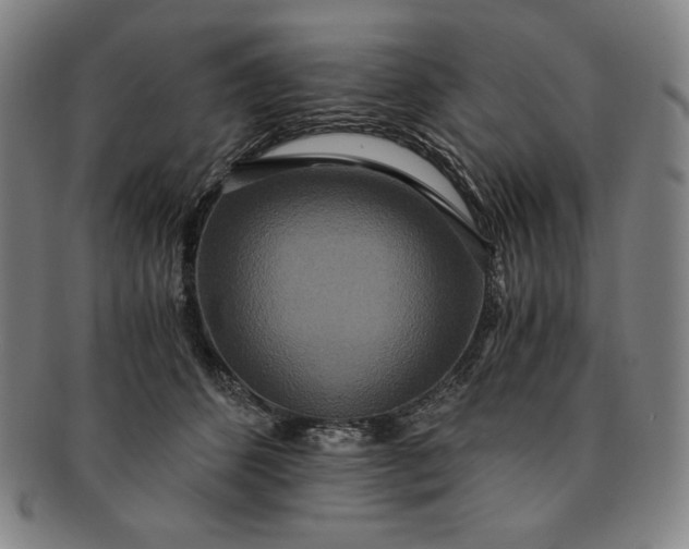 X0000091200512200708231533