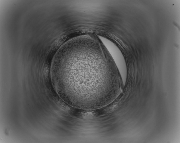 X0000091200513200708231533