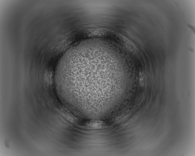X0000091200514200708231533