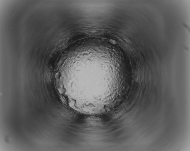 X0000091200515200708231533