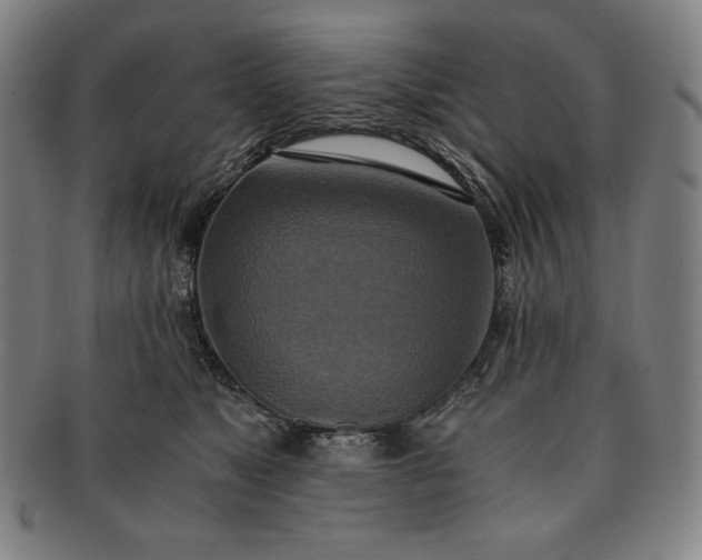 X0000091200517200708231533