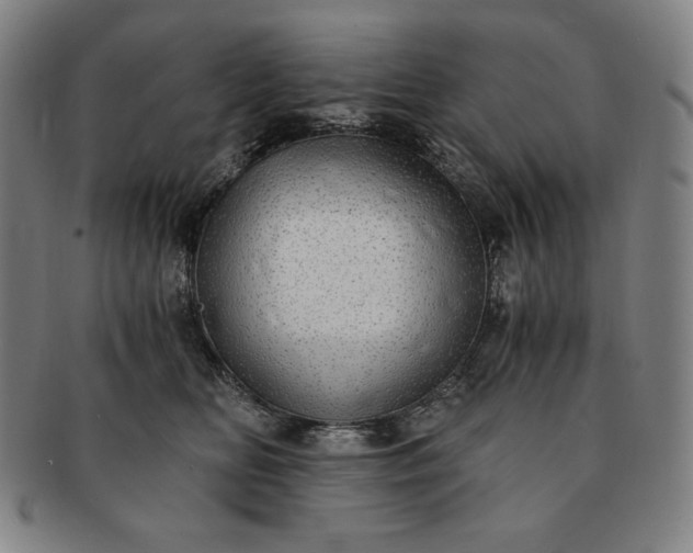 X0000091200518200708231533