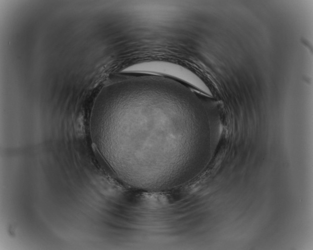 X0000091200520200708231533