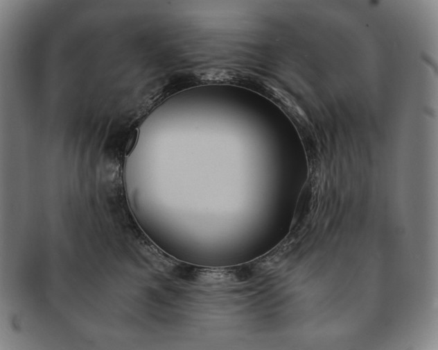 X0000091200521200708231533