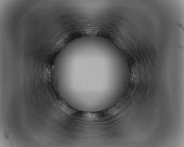 X0000091200522200708231533
