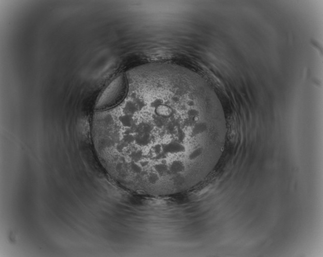 X0000091200523200708231533