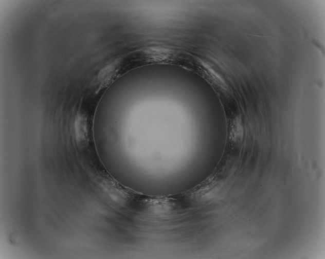 X0000091200524200708231533