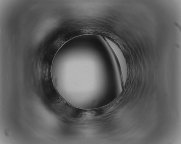 X0000091200525200708231533