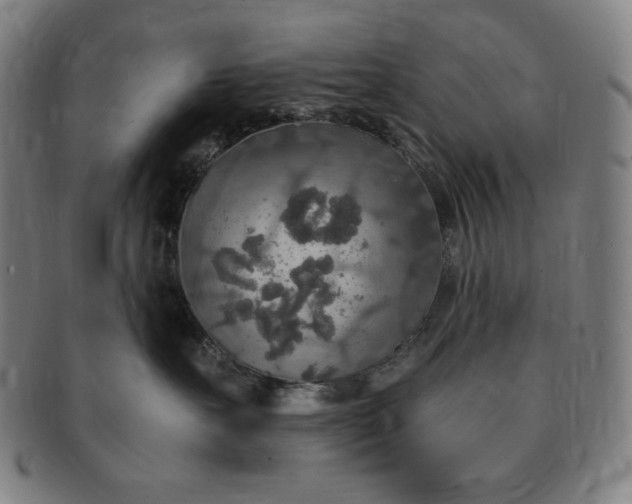 X0000091200527200708231533