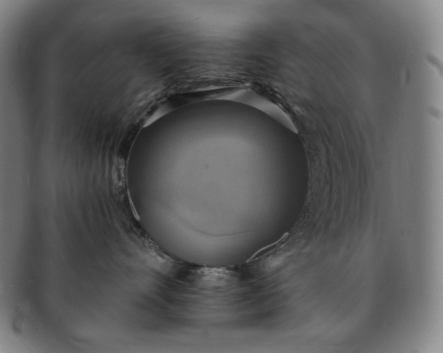 X0000091200528200708231533