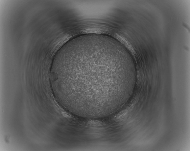 X0000091200529200708231532