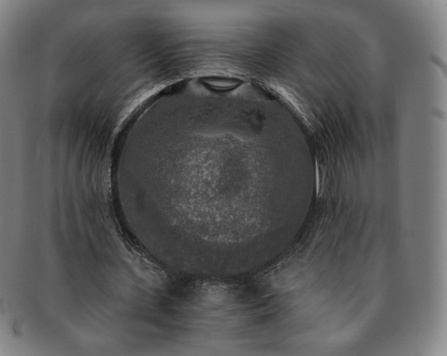 X0000091200531200708231532