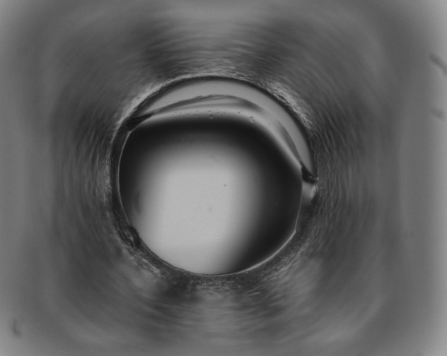X0000091200532200708231532
