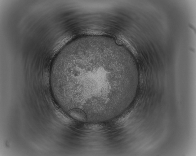 X0000091200533200708231532