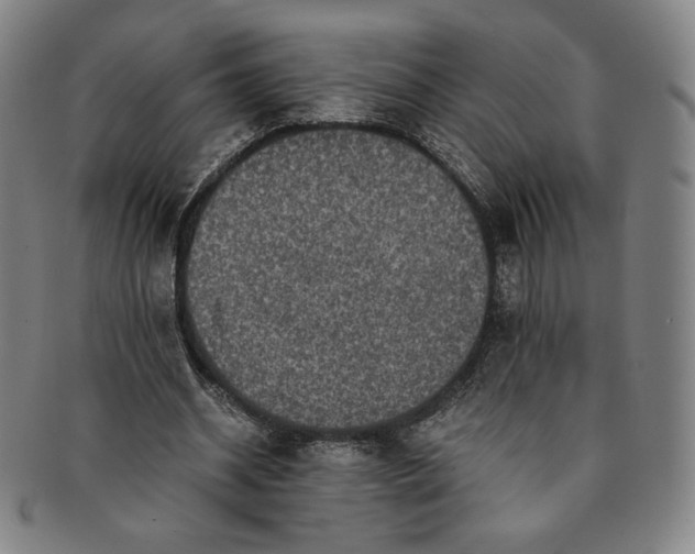 X0000091200534200708231532