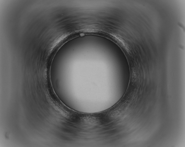 X0000091200535200708231532