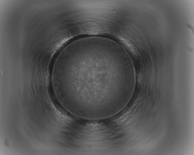 X0000091200540200708231533