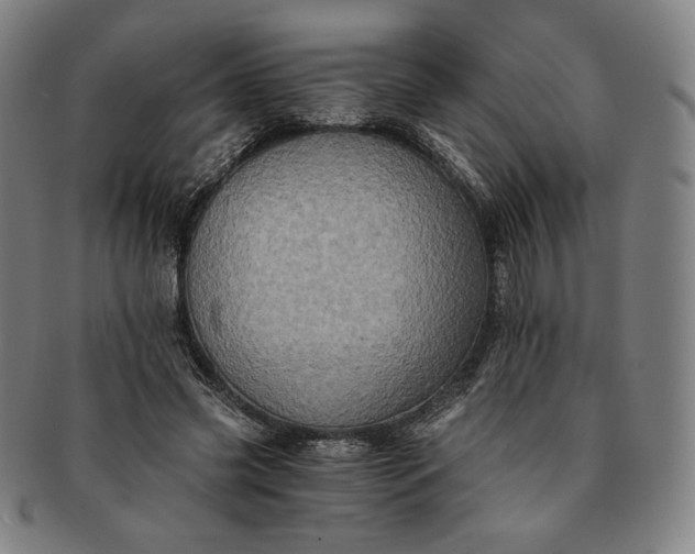 X0000091200541200708231533