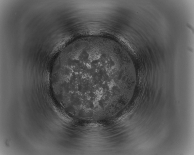 X0000091200542200708231533