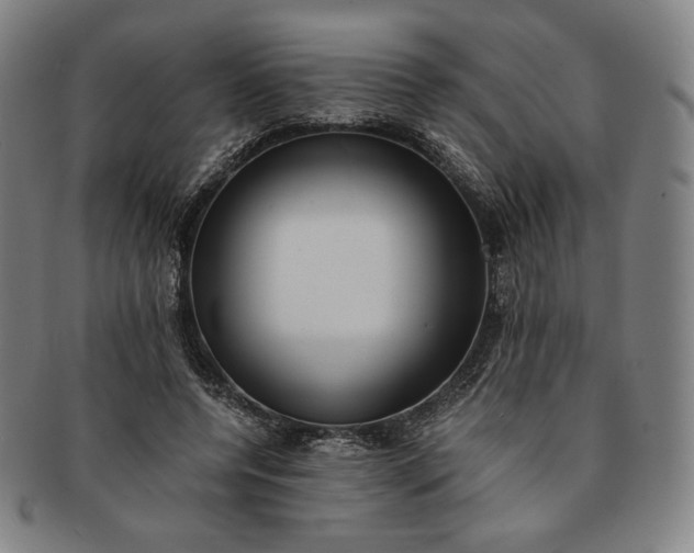 X0000091200544200708231533