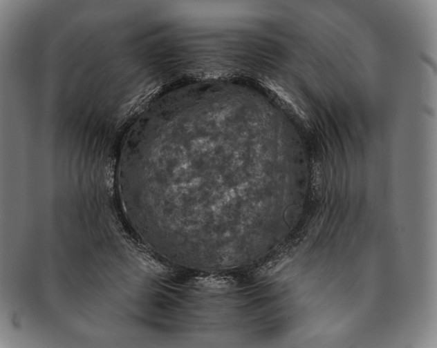 X0000091200545200708231533