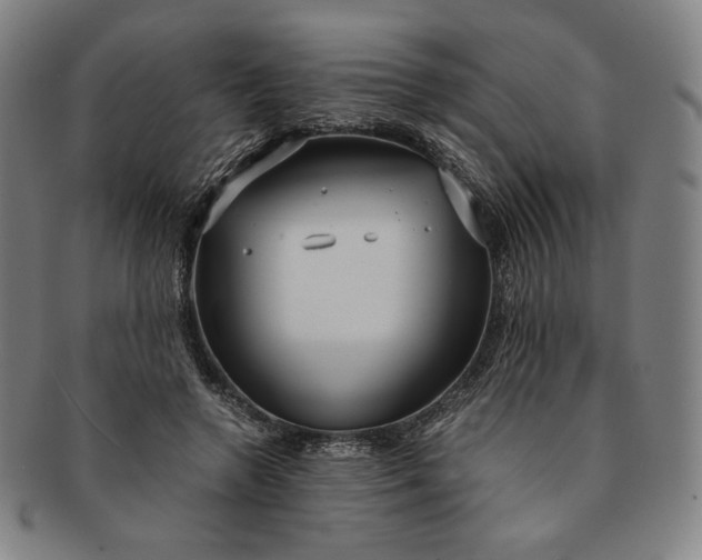 X0000091200546200708231533