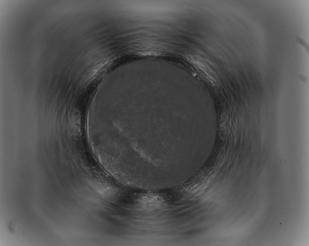 X0000091200547200708231533