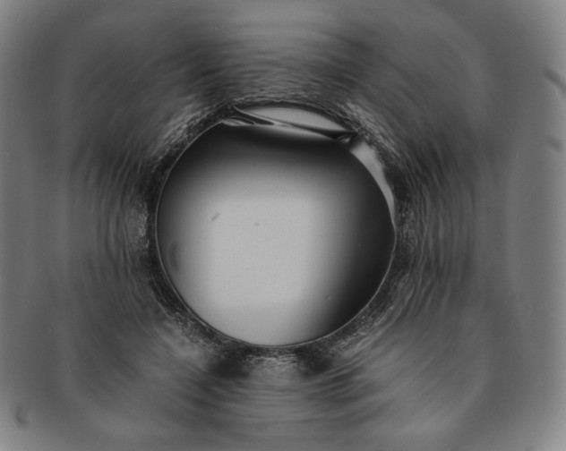X0000091200548200708231533