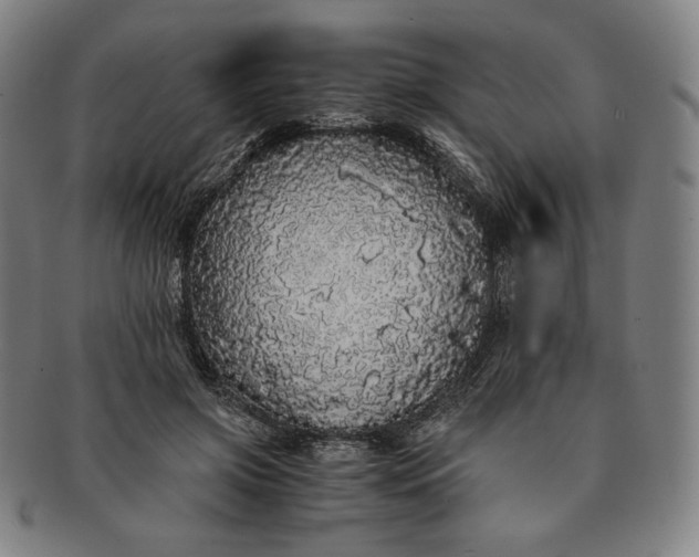 X0000091200549200708231533