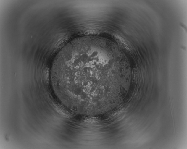 X0000091200550200708231533