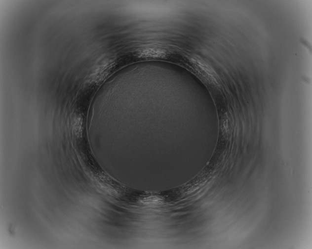 X0000091200551200708231533