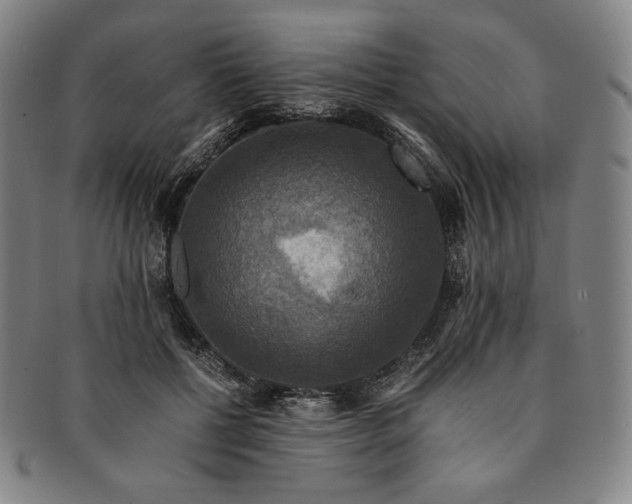 X0000091200552200708231533