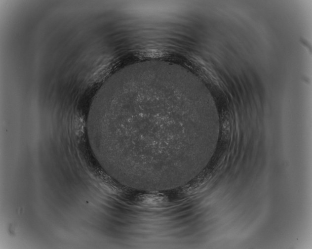 X0000091200555200708231533