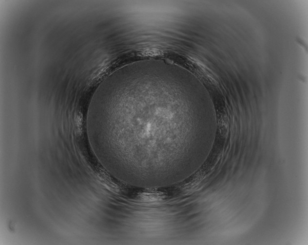 X0000091200556200708231533