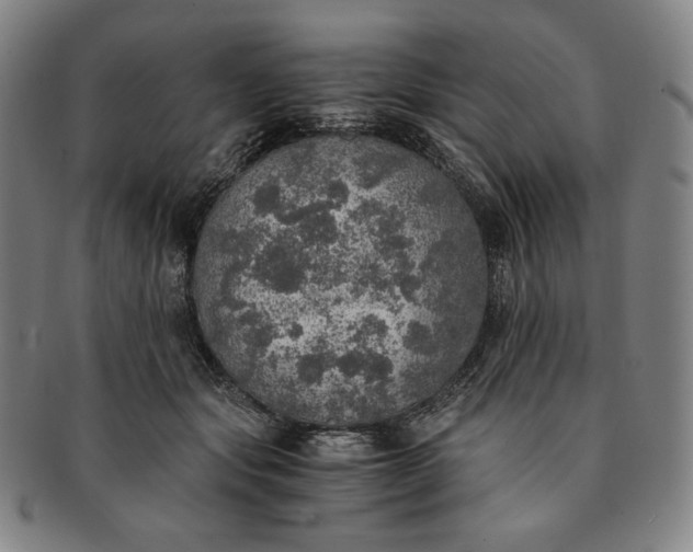 X0000091200557200708231533