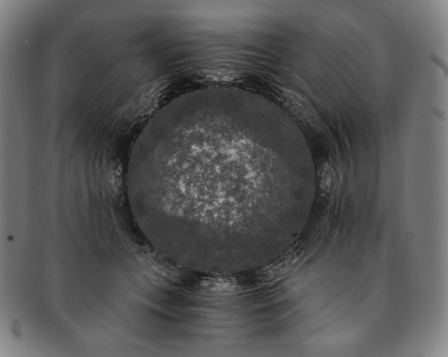 X0000091200559200708231533