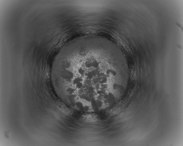 X0000091200561200708231533