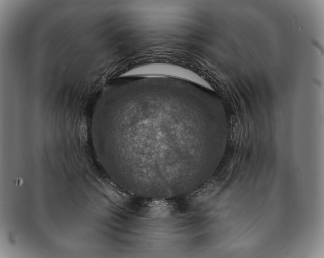X0000091200562200708231533