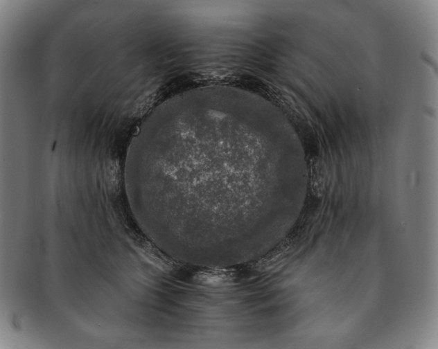 X0000091200563200708231533